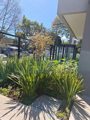 Image 8 - 900635