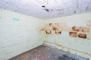 Image 36 - 900797