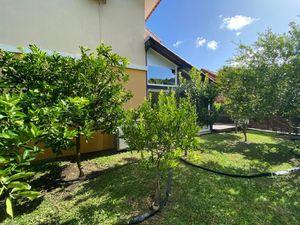 Image 7 - 901846