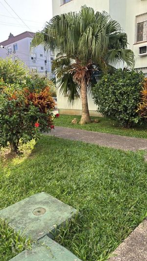 Image 16 - 903172