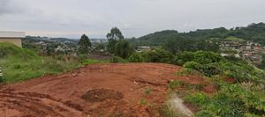 Image 0 - 904318