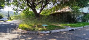 Image 16 - 904564