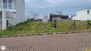 Image 3 - 905881