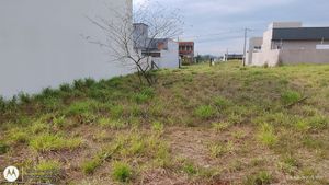 Image 6 - 905881