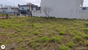 Image 9 - 905881