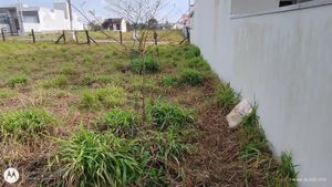 Image 8 - 905881