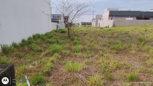 Image 4 - 905881
