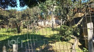 Image 19 - 912987