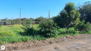 Image 3 - 915004