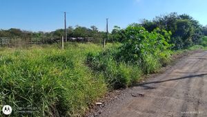 Image 4 - 915006