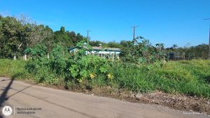 Image 7 - 915006