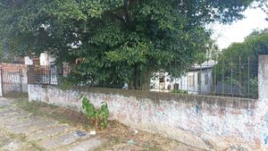 Image 8 - 915173