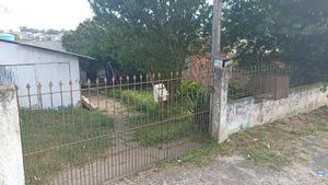 Image 6 - 915173