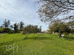 Image 17 - 915228