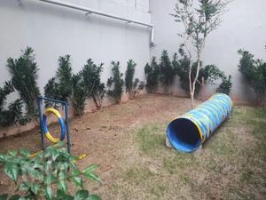 Image 19 - 915313