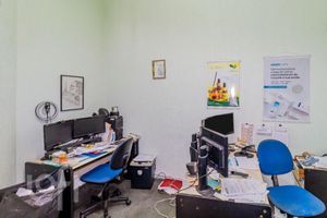 Image 13 - 915387
