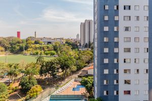 Image 19 - 915388