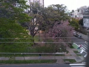Image 8 - 915601