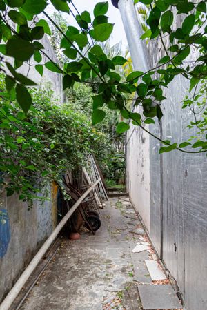 Image 71 - 915682
