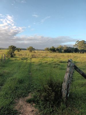 Image 12 - 915781