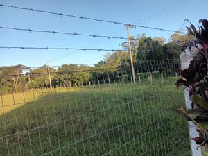Image 13 - 915781