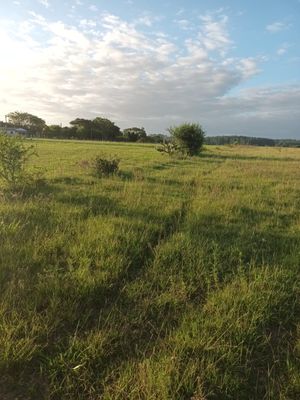Image 14 - 915781