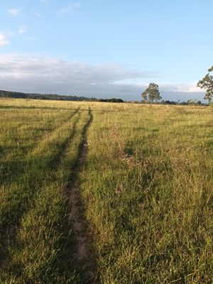 Image 16 - 915781