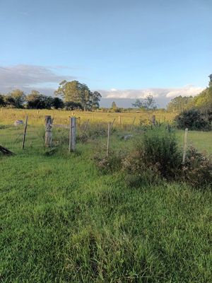 Image 17 - 915781