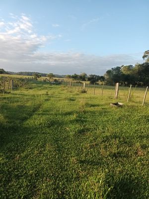 Image 18 - 915781