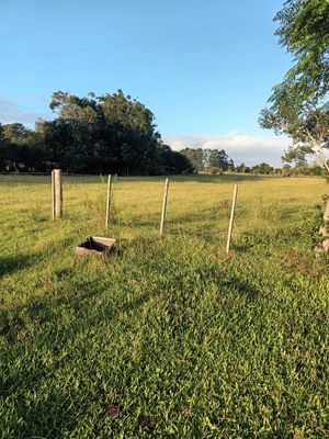 Image 19 - 915781