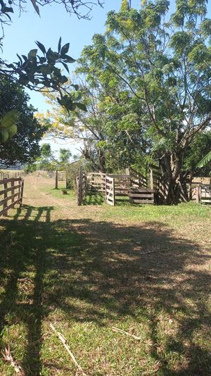 Image 5 - 915781