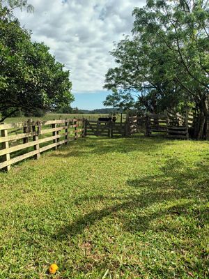 Image 9 - 915781