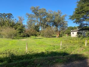 Image 2 - 915954