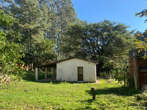 Image 13 - 915954