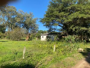 Image 3 - 915954