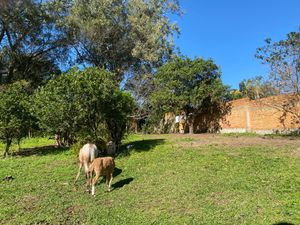 Image 11 - 915954