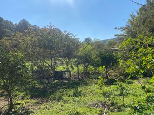 Image 12 - 915954