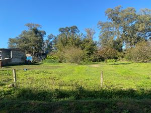 Image 1 - 915954