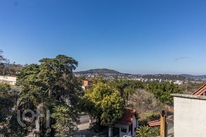 Image 46 - 916044