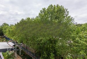 Image 14 - 916046