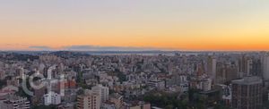 Image 16 - 916118