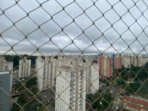 Image 7 - 916251