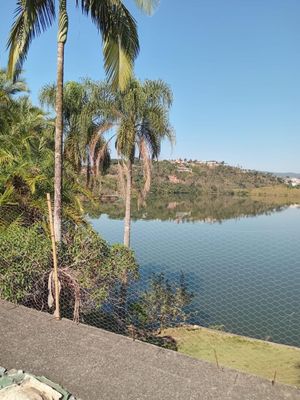 Image 12 - 916318