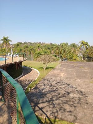 Image 8 - 916318