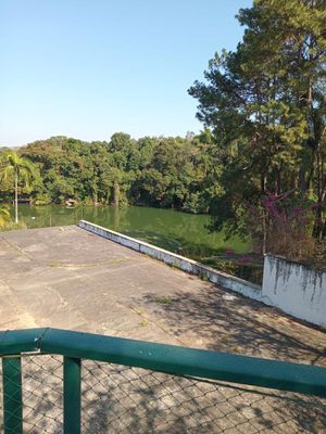 Image 7 - 916318