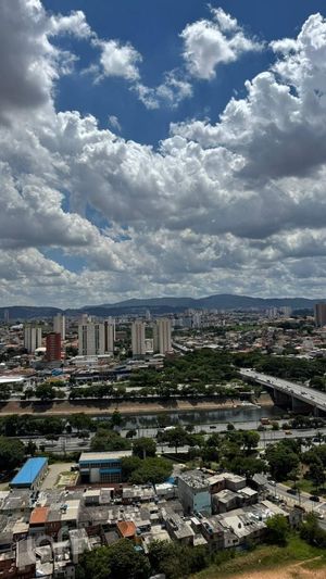 Image 19 - 916353