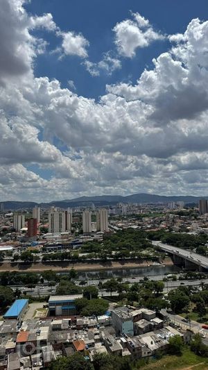 Image 23 - 916353