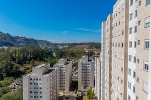 Image 9 - 916386