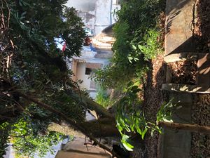 Image 1 - 916390