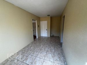 Image 13 - 916419